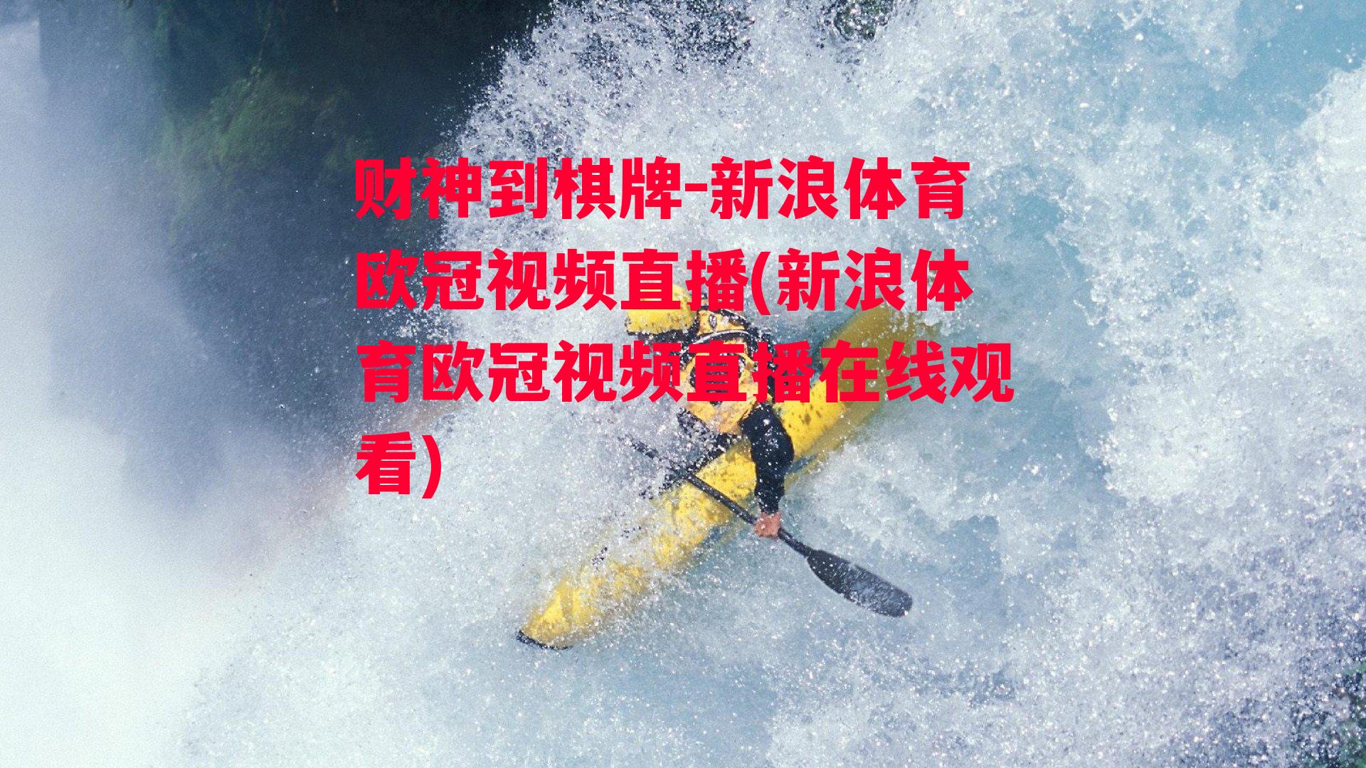 新浪体育欧冠视频直播(新浪体育欧冠视频直播在线观看)